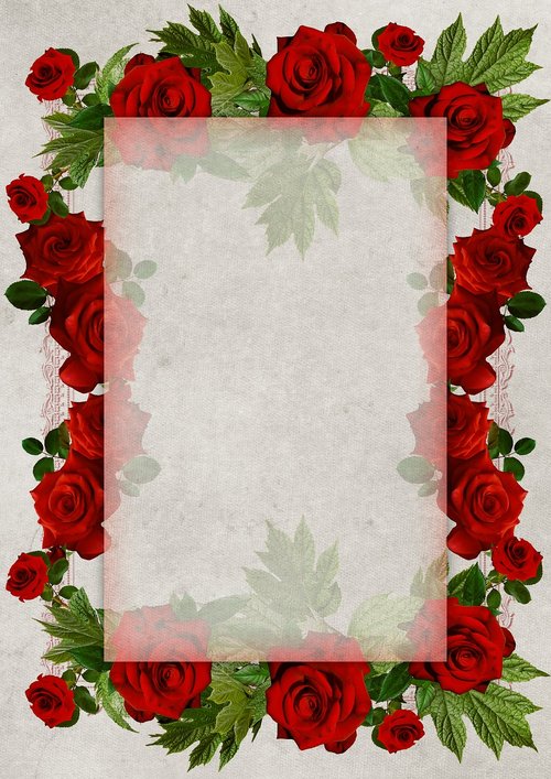 flowers  frame  design