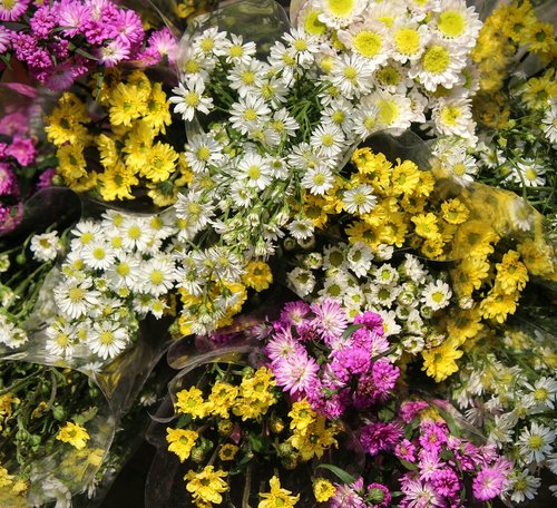 flowers  pink  yellow