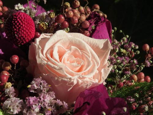 flowers  rose  floral arrangement