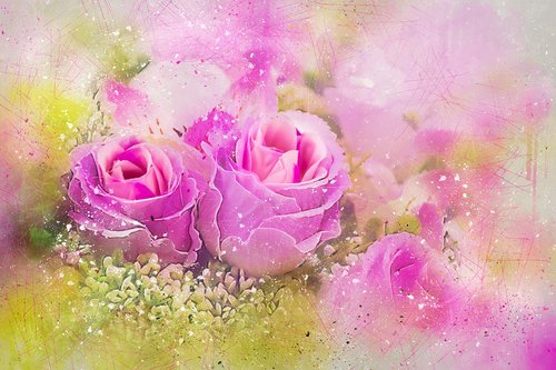 flowers  rose  pink