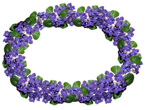 flowers  violets  fragrant