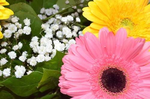 flowers  bouquet  arrangement