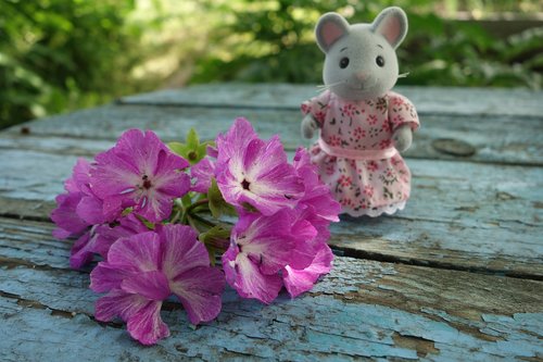 flowers  mouse  toy