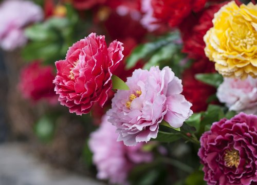 flowers  paper flowers  safflower