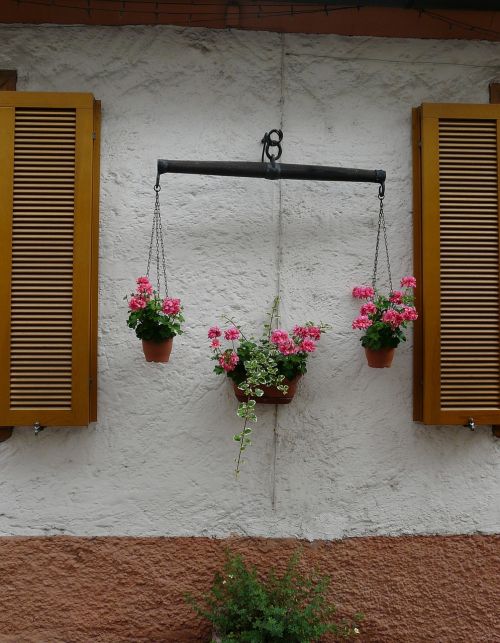 flowers horizontal harness for horses