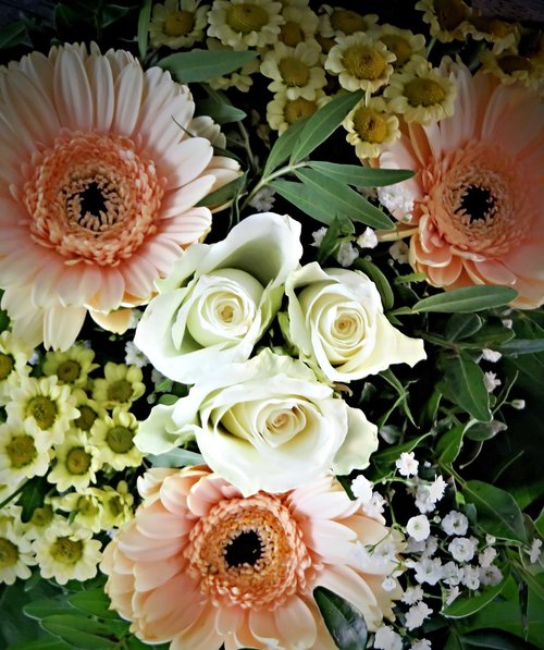 flowers  bouquet  gerbera