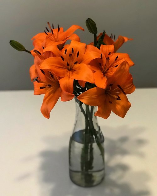 flowers  vase  decoration