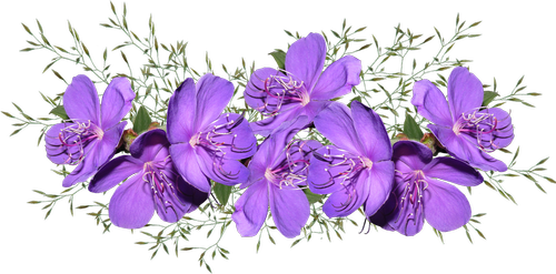 flowers  purple  arrangement