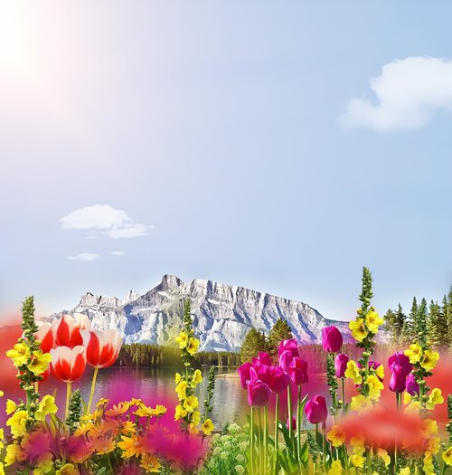 flowers  mountain  sky