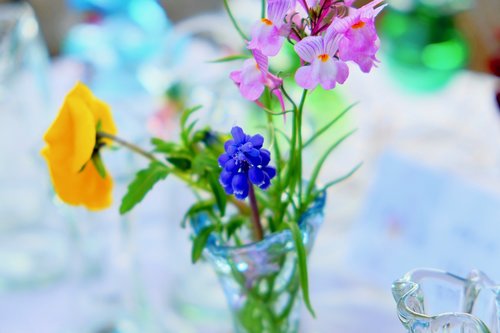 flowers  grass  bottle