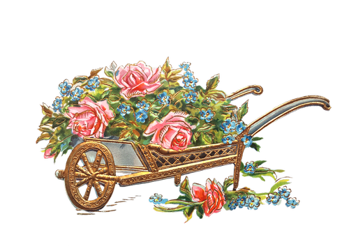 flowers  wheelbarrow  gold