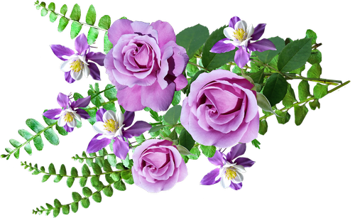 flowers  roses  aquilegias
