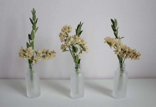 flowers  vase  deco