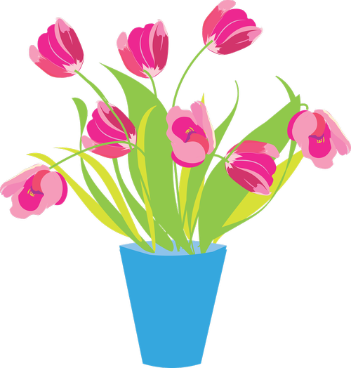 flowers  vase  tulips