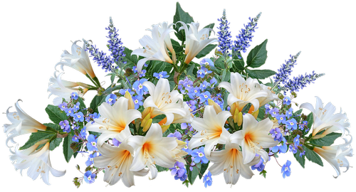 flowers  lilies  arrangement