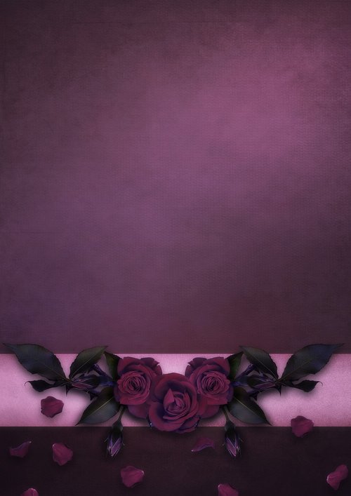 flowers  roses  romantic