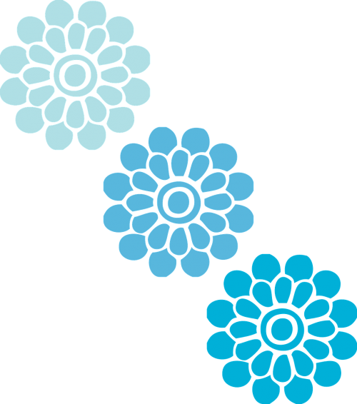 flowers blue three
