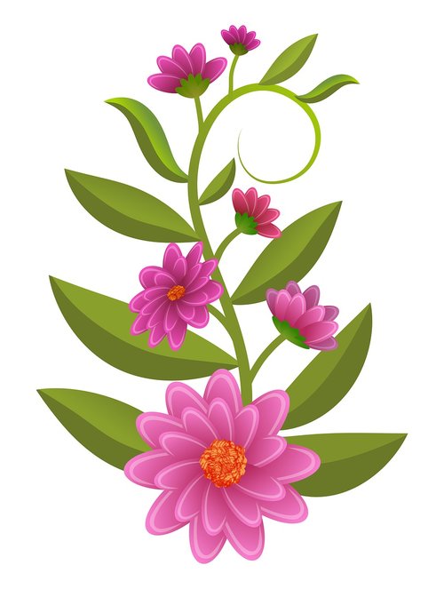 flowers  illustration  floral