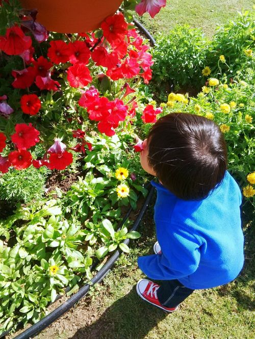 flowers boy park
