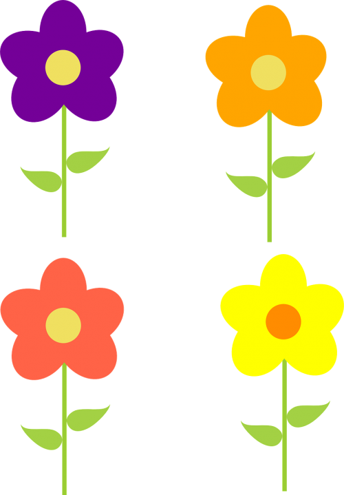 flowers yellow purple