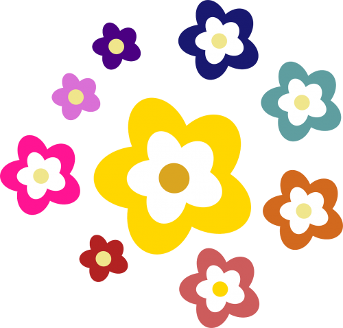 flowers daisy decorative