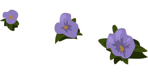 flowers purple scattered