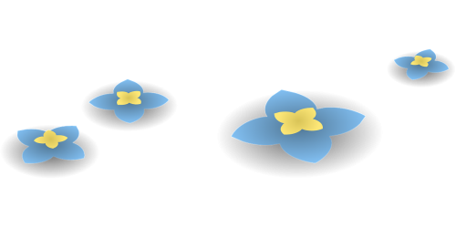 flowers blue blossoms