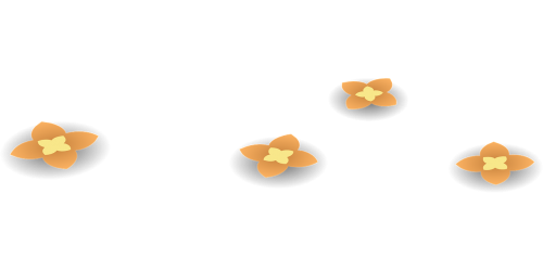 flowers orange blossoms