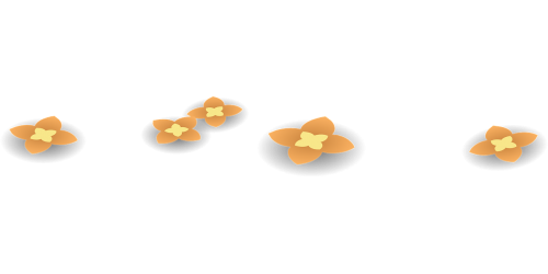 flowers orange yellow