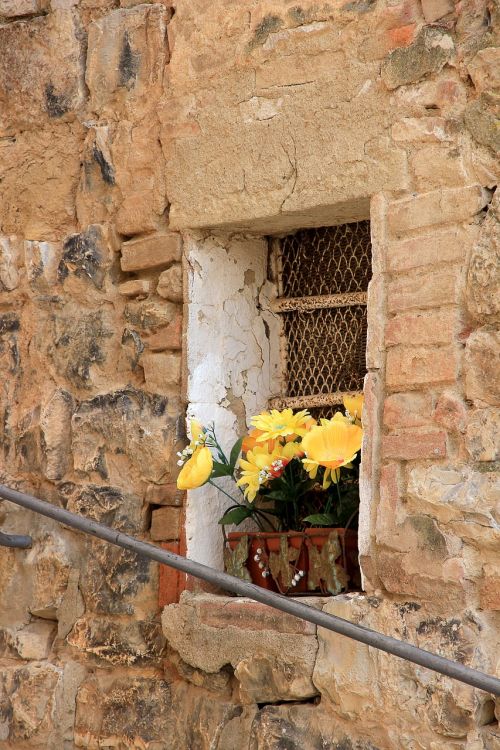 flowers window old town old