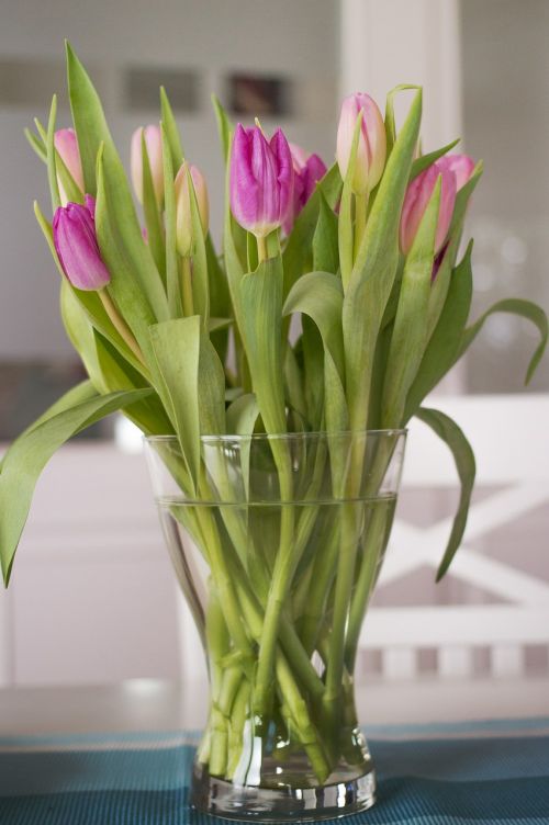 flowers bouquet tulips