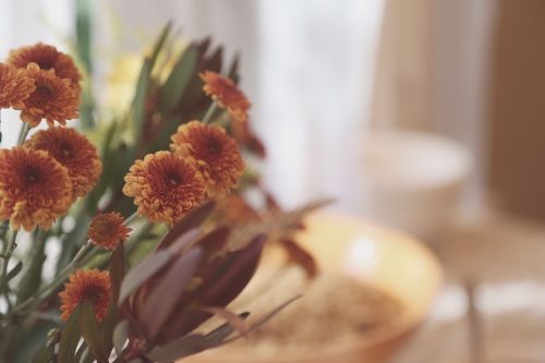 flowers orange blossom