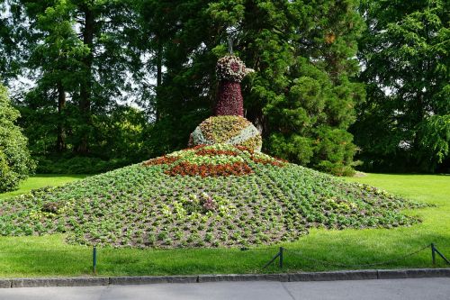 flowers peacock mainau