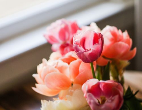 flowers bouquet tulips