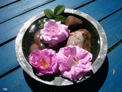 flowers bowl arrangement