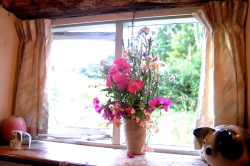 flowers vase window