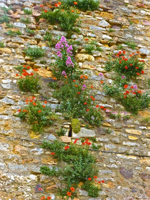 flowers wall stone