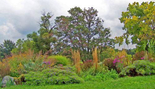 Flowers And Trees