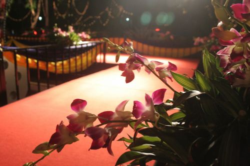 Flowers At Red Carpet