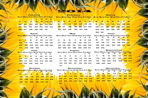 Flowers Calendar 2014