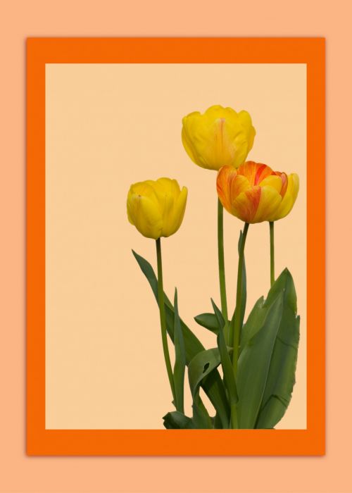 Flowers Card Template
