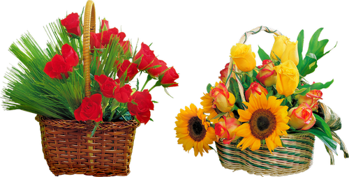 flowers in basket  sunflowers  tulips