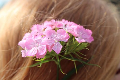 flowers in her hair pink small flowers