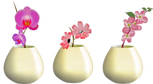flowers in vase  orchid  pink flowers
