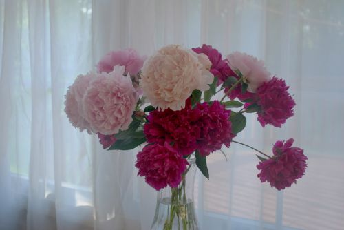 Flowers In Vase