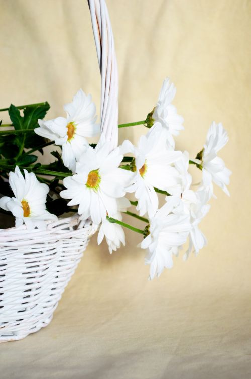 Flowers In Wicker Basket