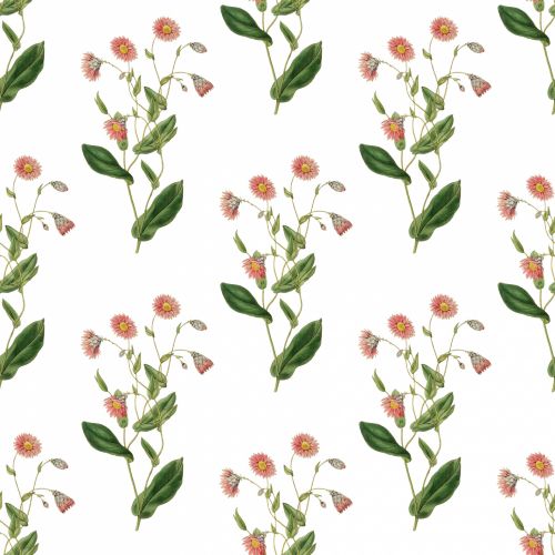 Flowers Vintage Floral Wallpaper