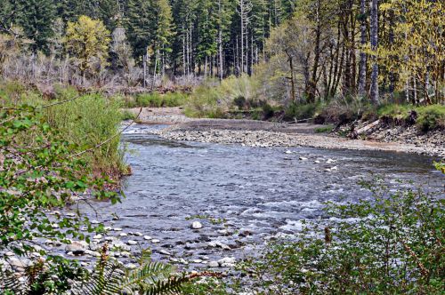 Flowing River