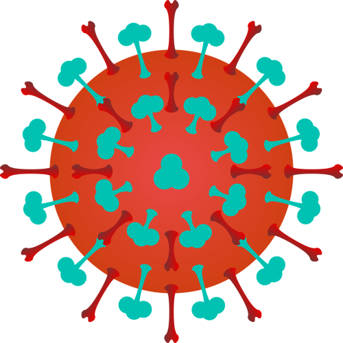 flu molecular level virus