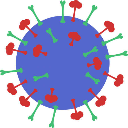 flu molecular level virus